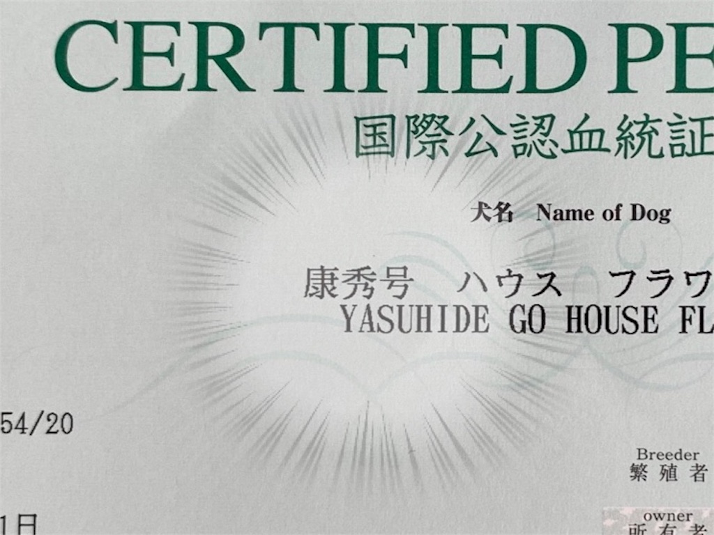 f:id:shiroi_okome:20200810151112j:image f:id:shiroi_okome:20200810151112j:image