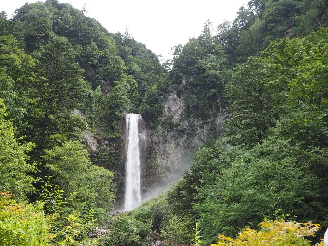 f:id:shiroi_okome:20201005145437j:image f:id:shiroi_okome:20201005145437j:image