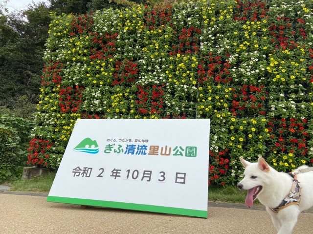 f:id:shiroi_okome:20201005160814j:image f:id:shiroi_okome:20201005160814j:image
