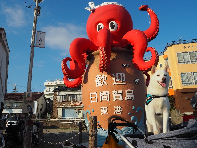 f:id:shiroi_okome:20201212143448j:image f:id:shiroi_okome:20201212143448j:image