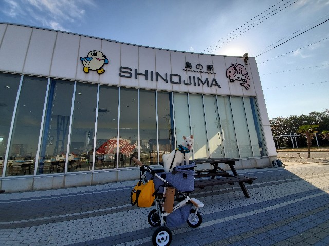 f:id:shiroi_okome:20201212143655j:image f:id:shiroi_okome:20201212143655j:image