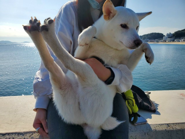 f:id:shiroi_okome:20201212143905j:image f:id:shiroi_okome:20201212143905j:image