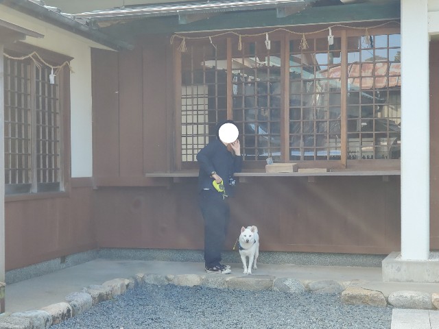 f:id:shiroi_okome:20201212145441j:image f:id:shiroi_okome:20201212145441j:image