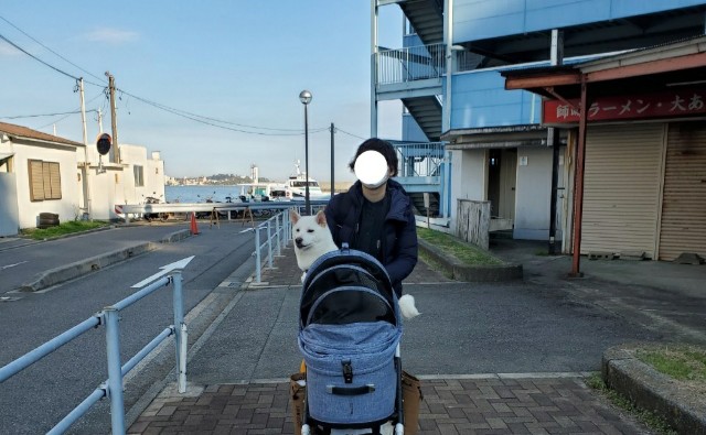 f:id:shiroi_okome:20201212145950j:image f:id:shiroi_okome:20201212145950j:image