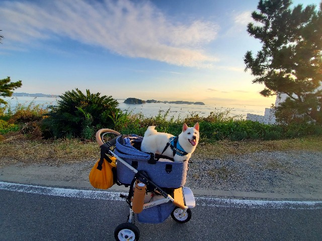 f:id:shiroi_okome:20201212153503j:image f:id:shiroi_okome:20201212153503j:image