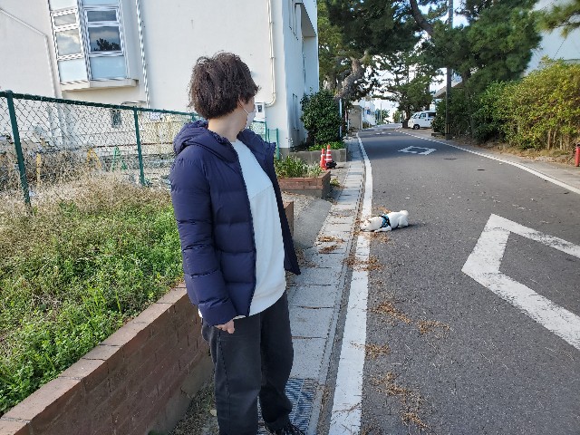 f:id:shiroi_okome:20201218145502j:image f:id:shiroi_okome:20201218145502j:image