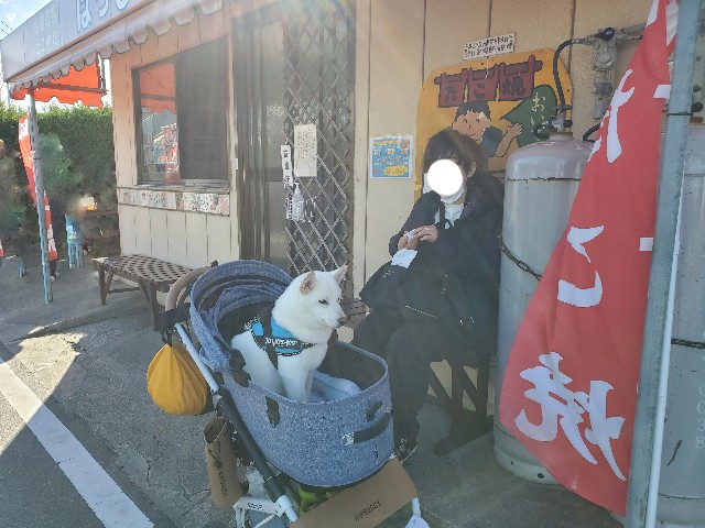 f:id:shiroi_okome:20201218150220j:image f:id:shiroi_okome:20201218150220j:image