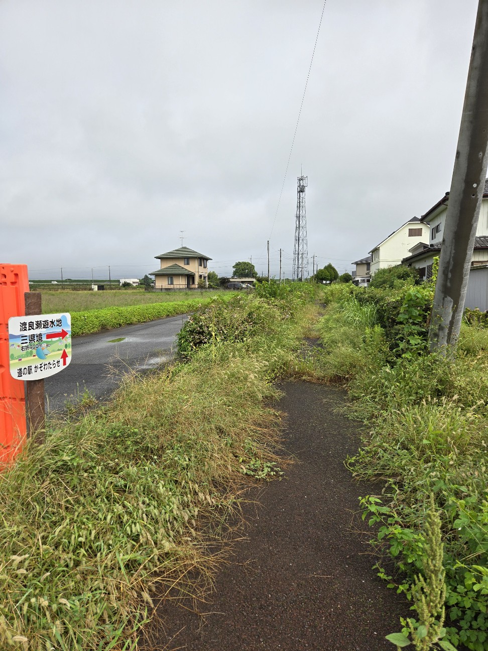 f:id:shiroke:20240923001649j:image