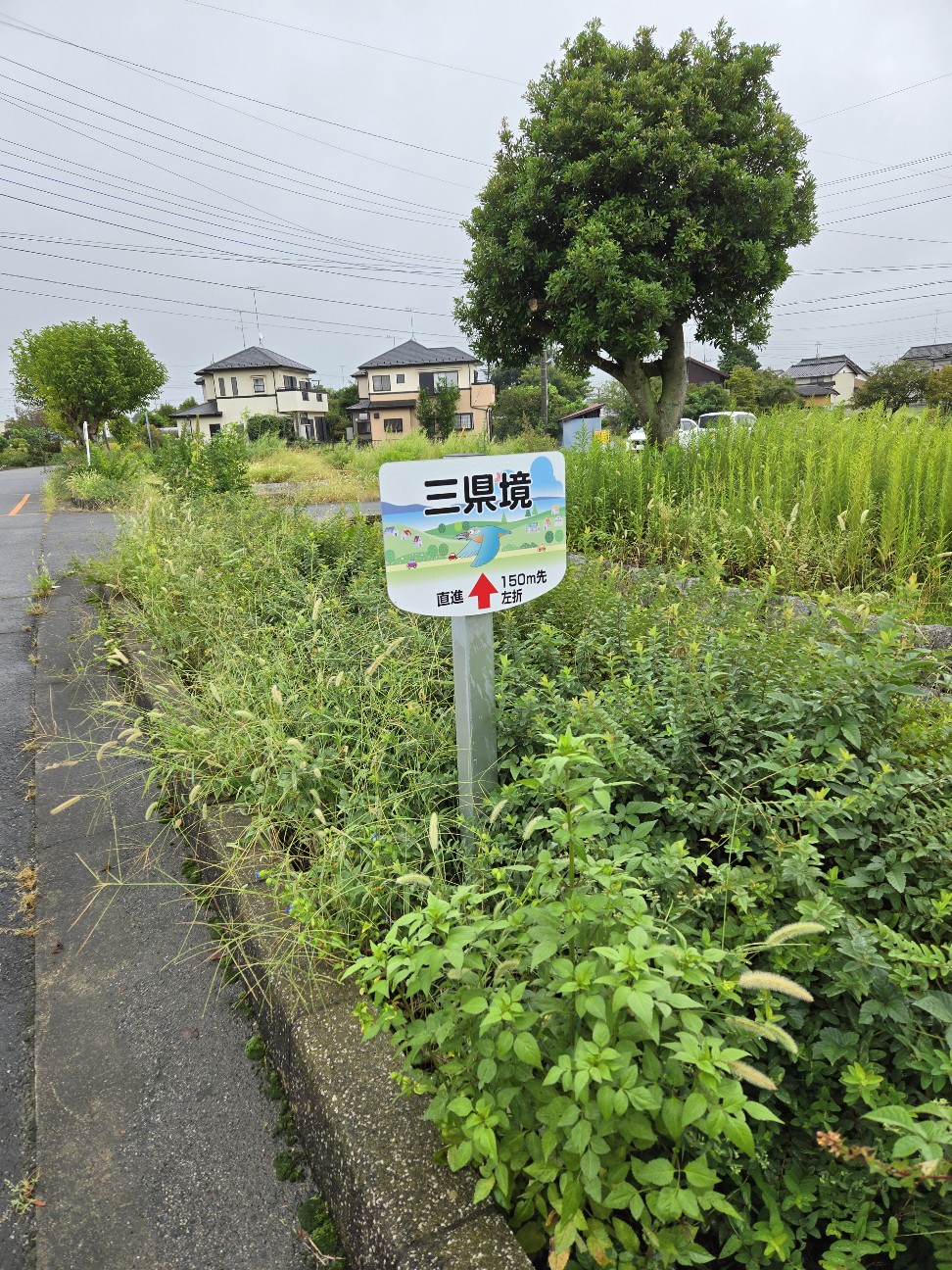 f:id:shiroke:20240923001849j:image