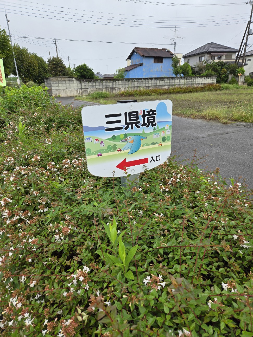 f:id:shiroke:20240923002007j:image