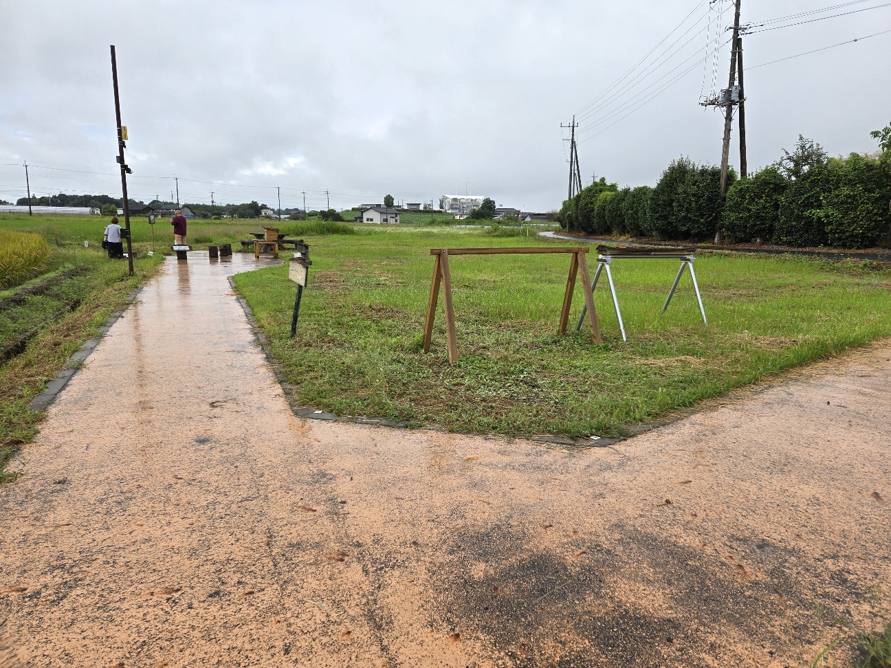 f:id:shiroke:20240923002039j:image