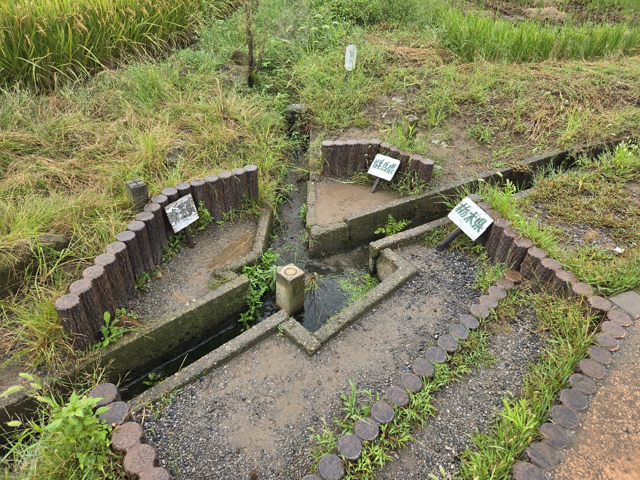 f:id:shiroke:20240923002357j:image