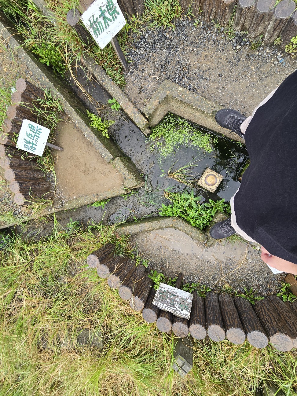 f:id:shiroke:20240923003102j:image