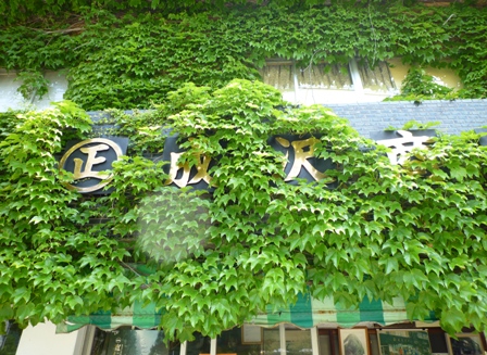 カレー豆 蔦の絡まる弥彦成沢商店の建物 新潟生活