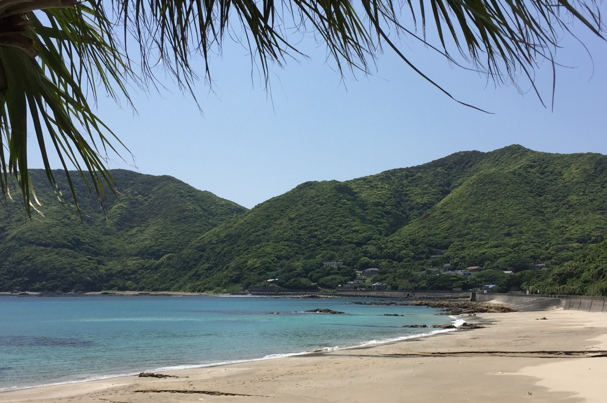 f:id:shirokiji:20200817111934j:plain