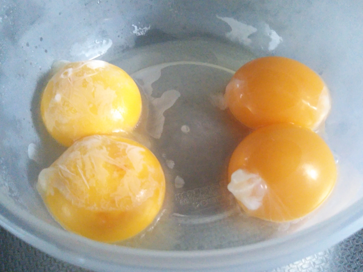 f:id:shirokuma-spice:20210719214005j:plain