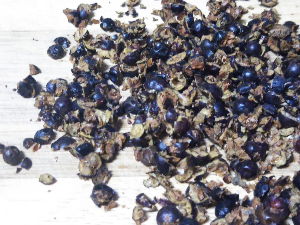 f:id:shirokuma-spice:20210903014310j:plain