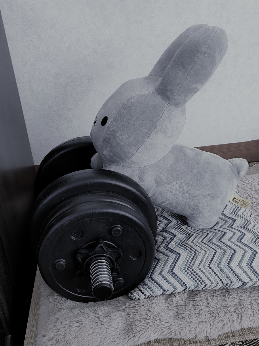 f:id:shirokuma-spice:20220408014712j:plain