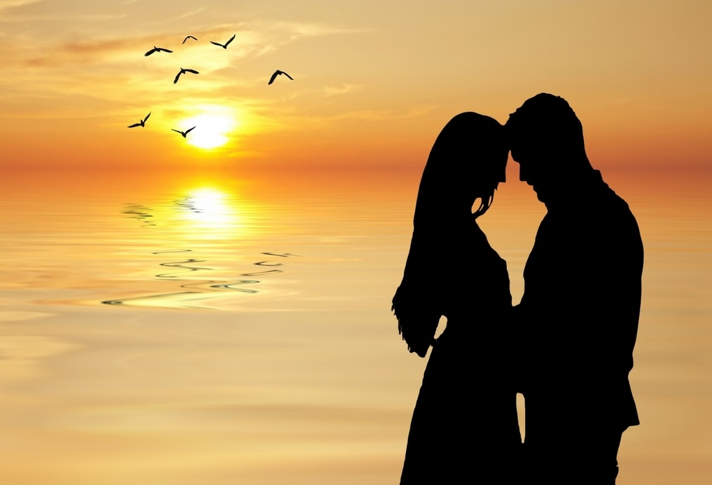 f:id:shirokuma1230:20181005142615j:plain