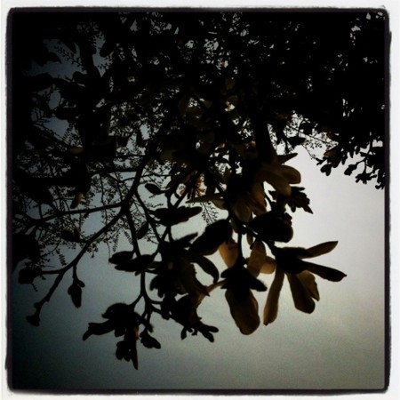 f:id:shirokuma70:20110320225544j:image f:id:shirokuma70:20110320225544j:image