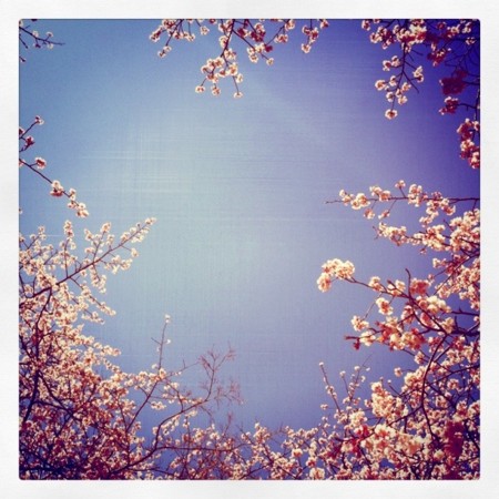 f:id:shirokuma70:20110327193946j:image f:id:shirokuma70:20110327193946j:image