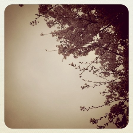 f:id:shirokuma70:20110409125517j:image f:id:shirokuma70:20110409125517j:image