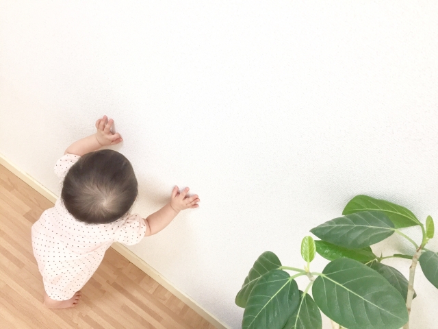 f:id:shirokumakko:20190214232714j:plain