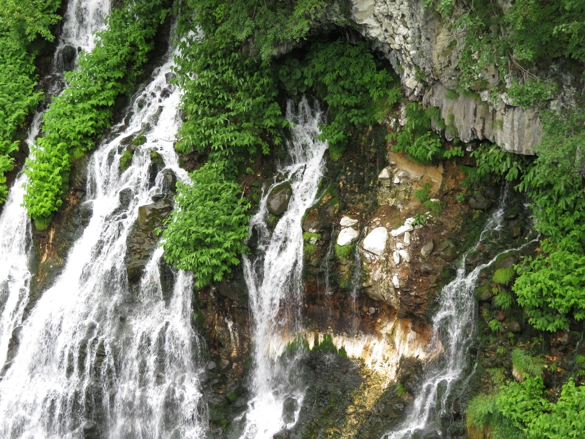 f:id:shirokumapanda:20181022234727j:plain f:id:shirokumapanda:20181022234727j:plain