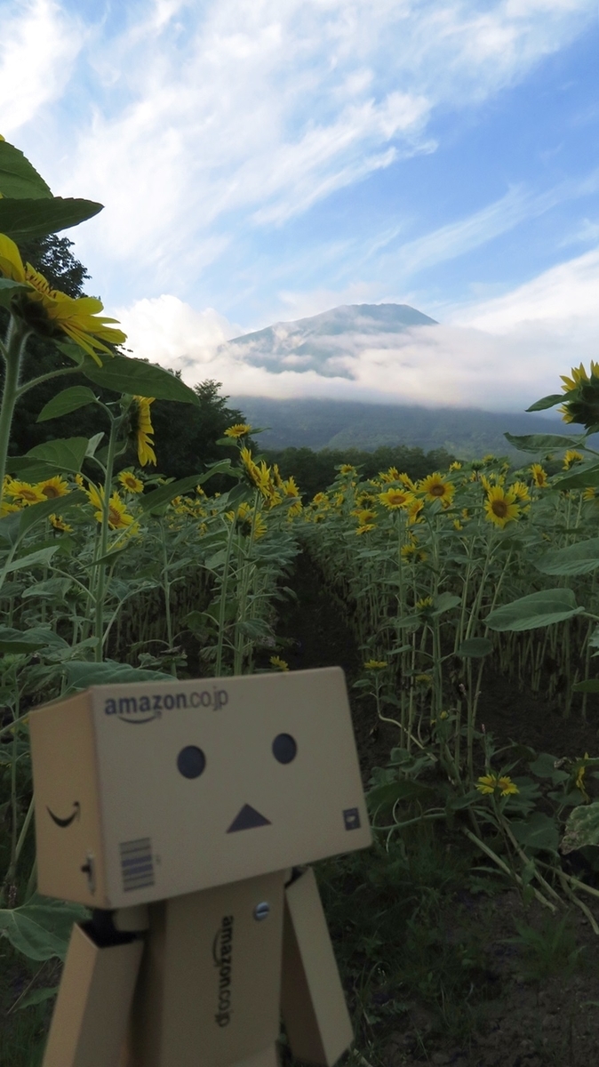 f:id:shirokumapanda:20181029005225j:plain