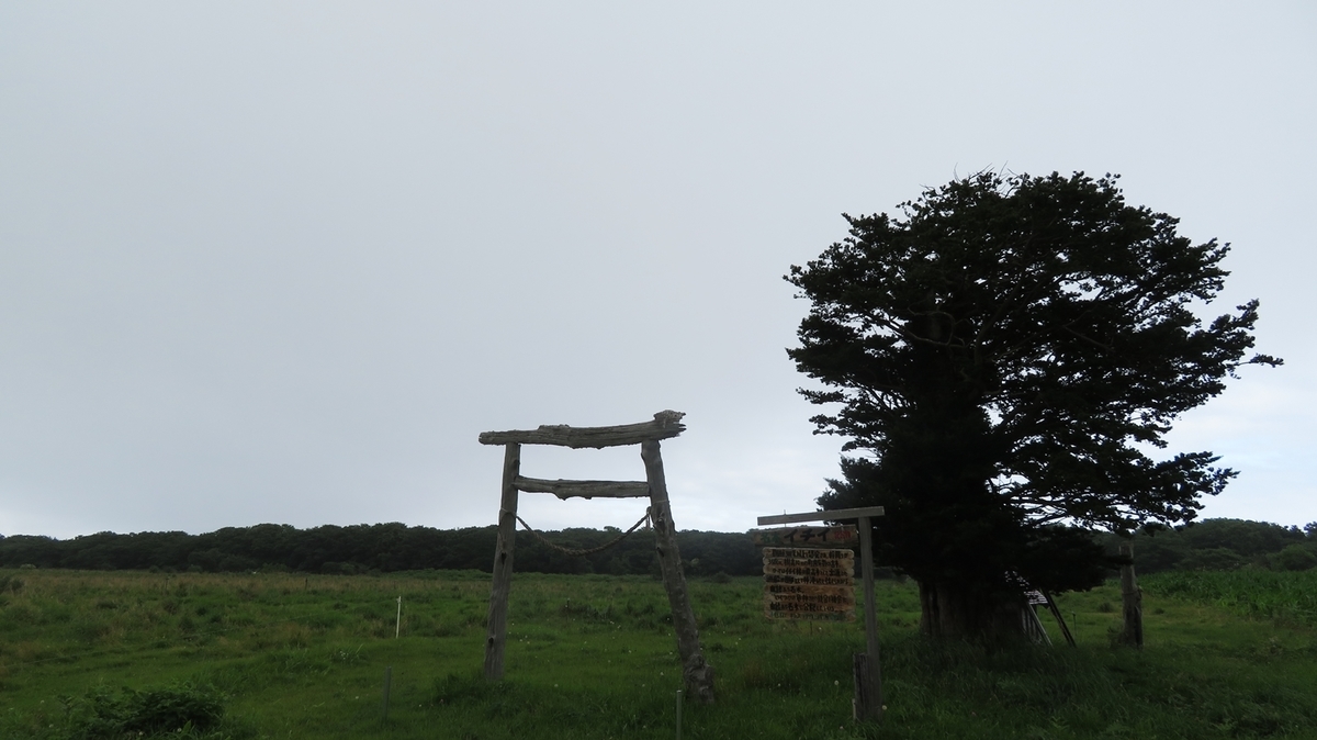 f:id:shirokumapanda:20181101004256j:plain