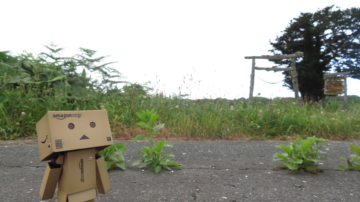 f:id:shirokumapanda:20181101004303j:plain