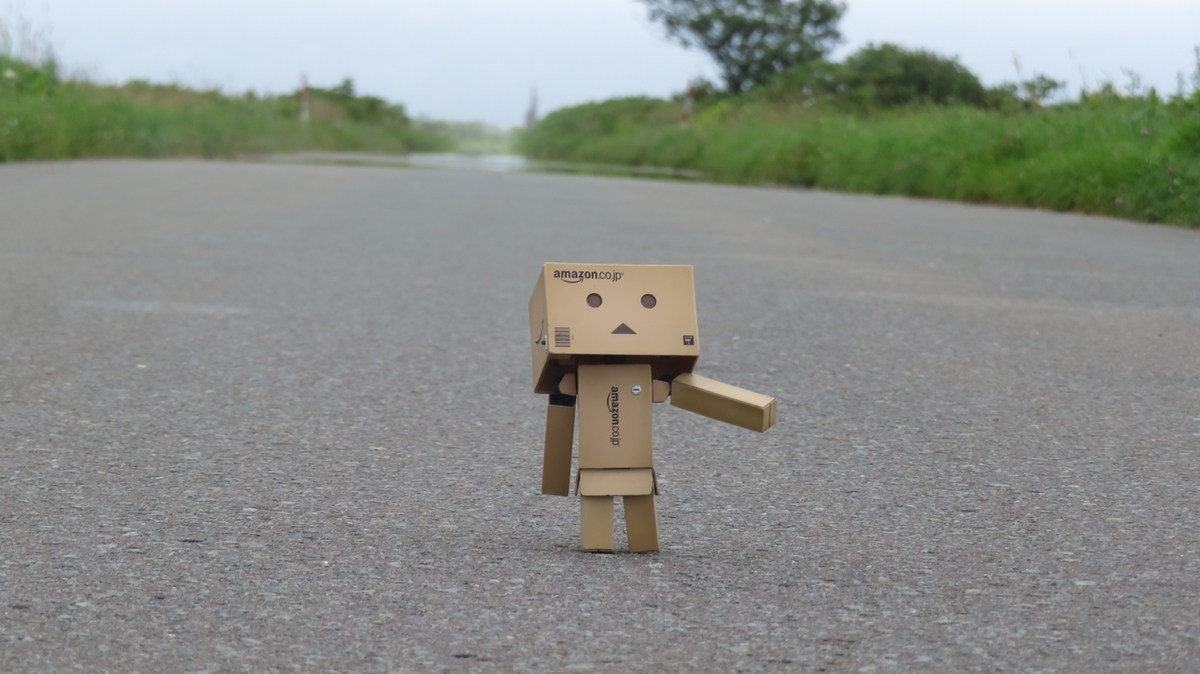 f:id:shirokumapanda:20181101004308j:plain