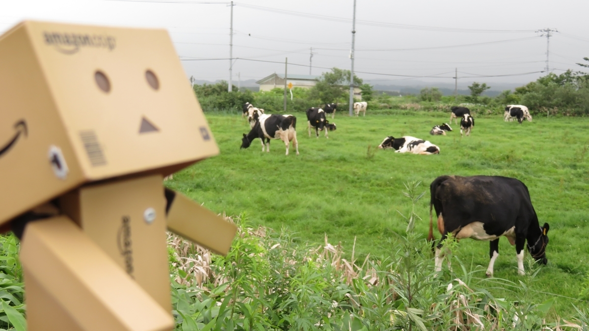 f:id:shirokumapanda:20181101004313j:plain