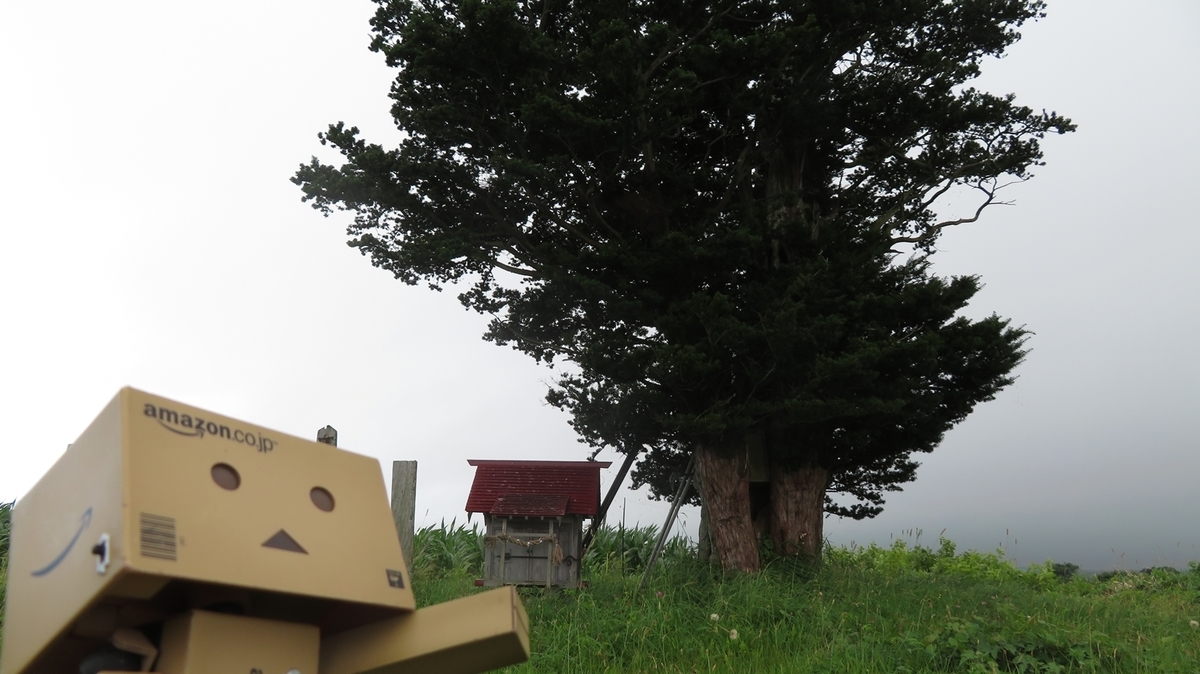 f:id:shirokumapanda:20181101004350j:plain