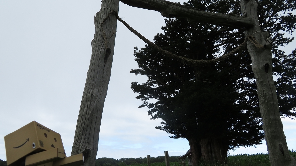 f:id:shirokumapanda:20181101004358j:plain