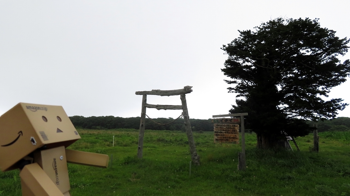 f:id:shirokumapanda:20181101004408j:plain