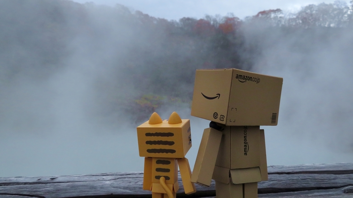 f:id:shirokumapanda:20181102230823j:plain