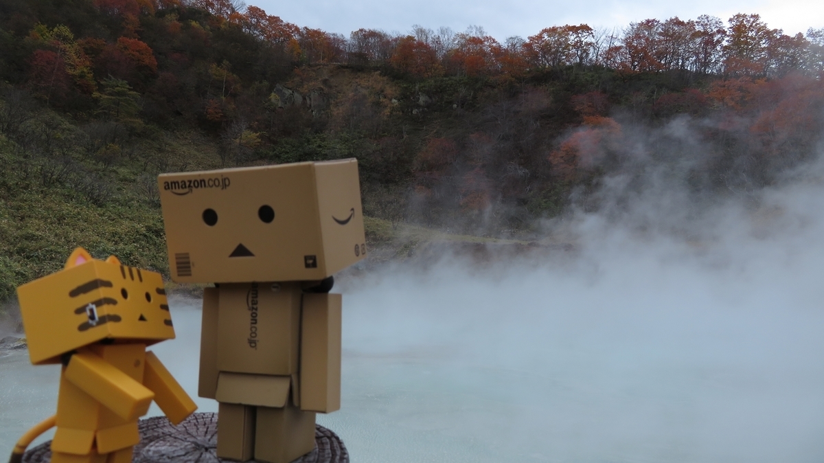 f:id:shirokumapanda:20181102230831j:plain