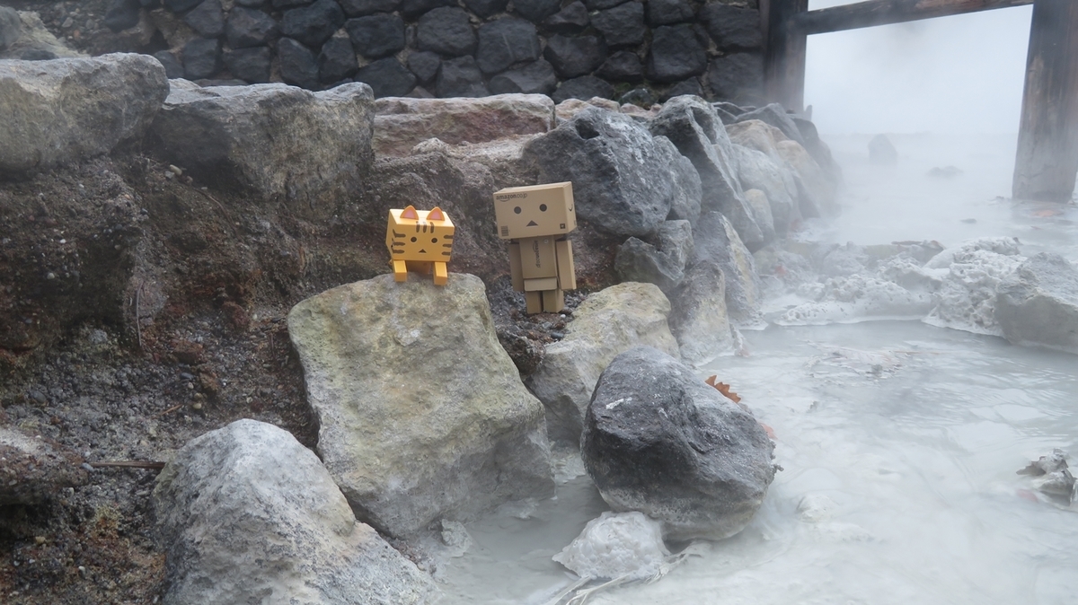 f:id:shirokumapanda:20181102231047j:plain