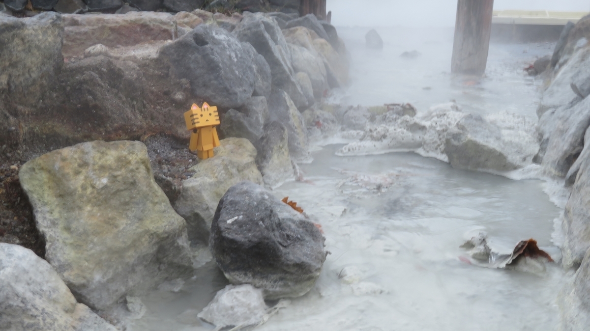 f:id:shirokumapanda:20181102231058j:plain