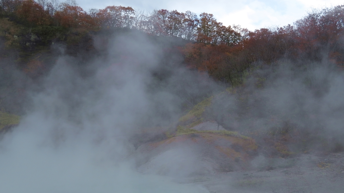 f:id:shirokumapanda:20181102231110j:plain