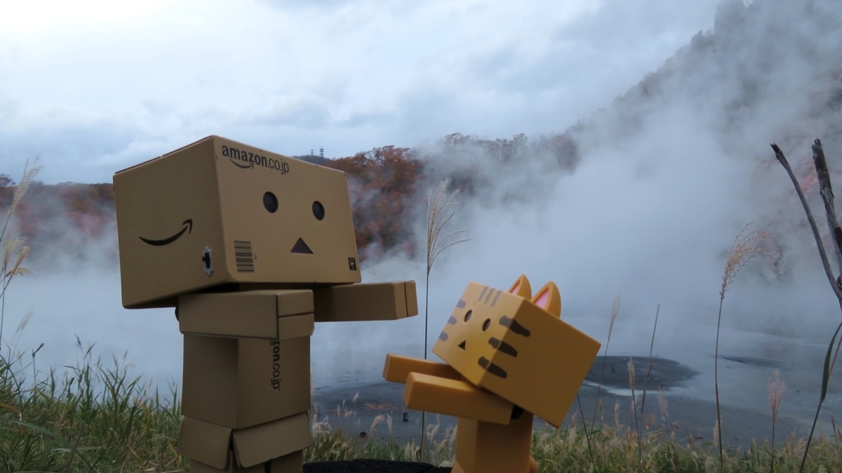 f:id:shirokumapanda:20181102231155j:plain