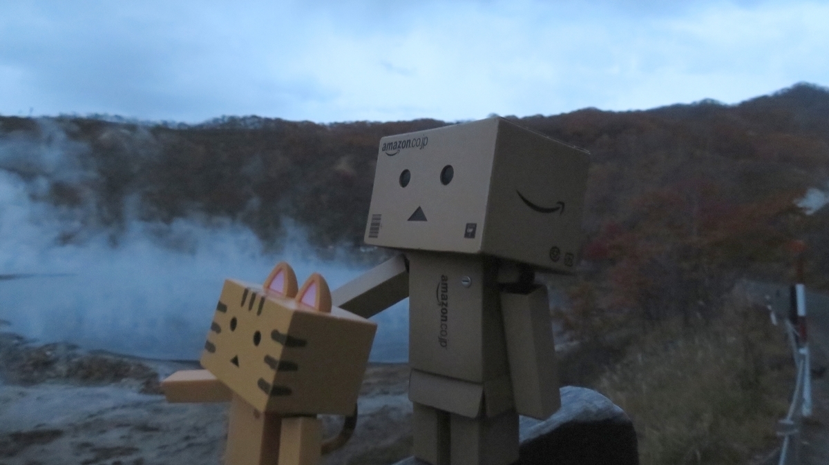 f:id:shirokumapanda:20181102231506j:plain