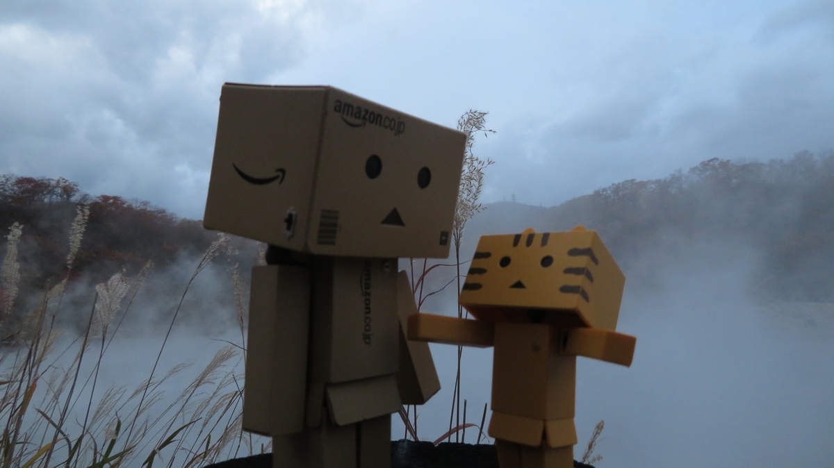 f:id:shirokumapanda:20181102231518j:plain