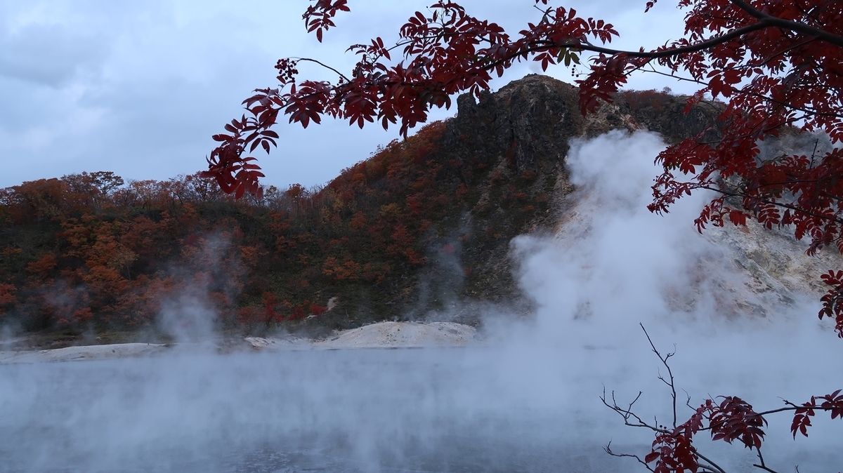 f:id:shirokumapanda:20181102231712j:plain