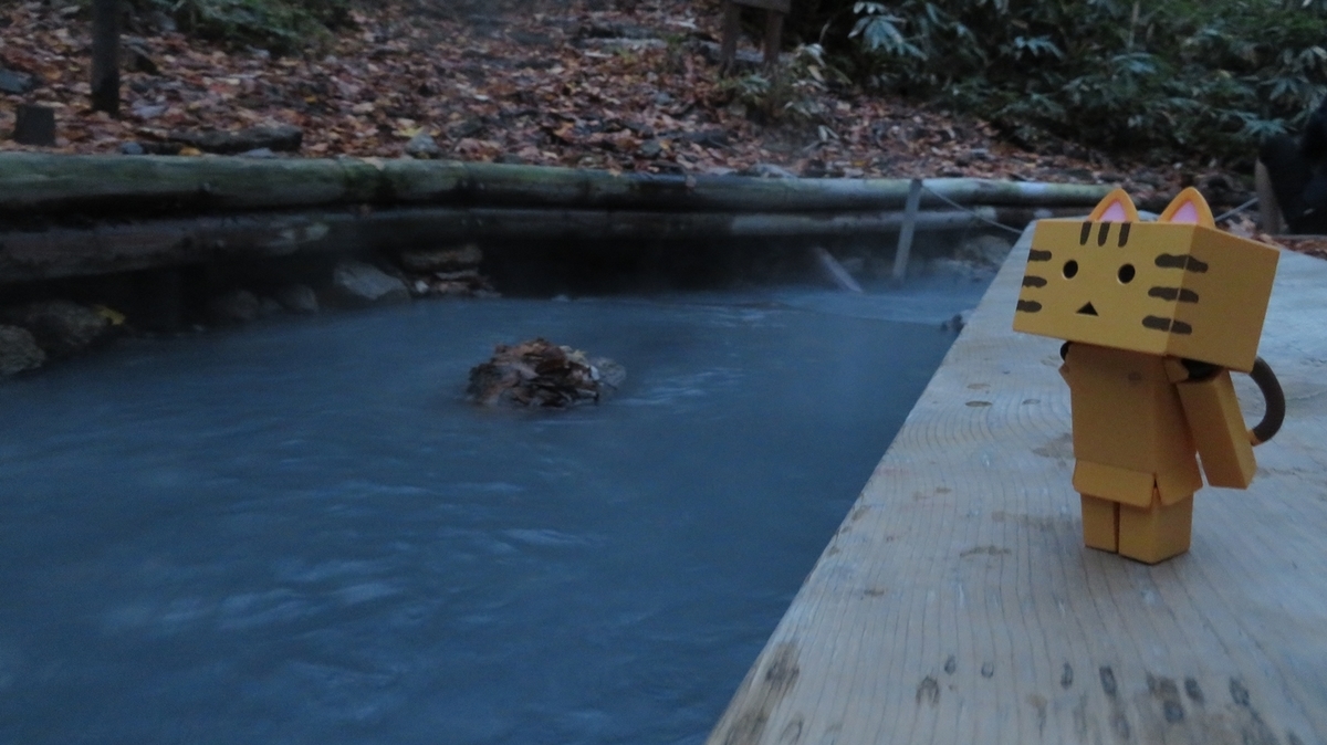 f:id:shirokumapanda:20181103003828j:plain