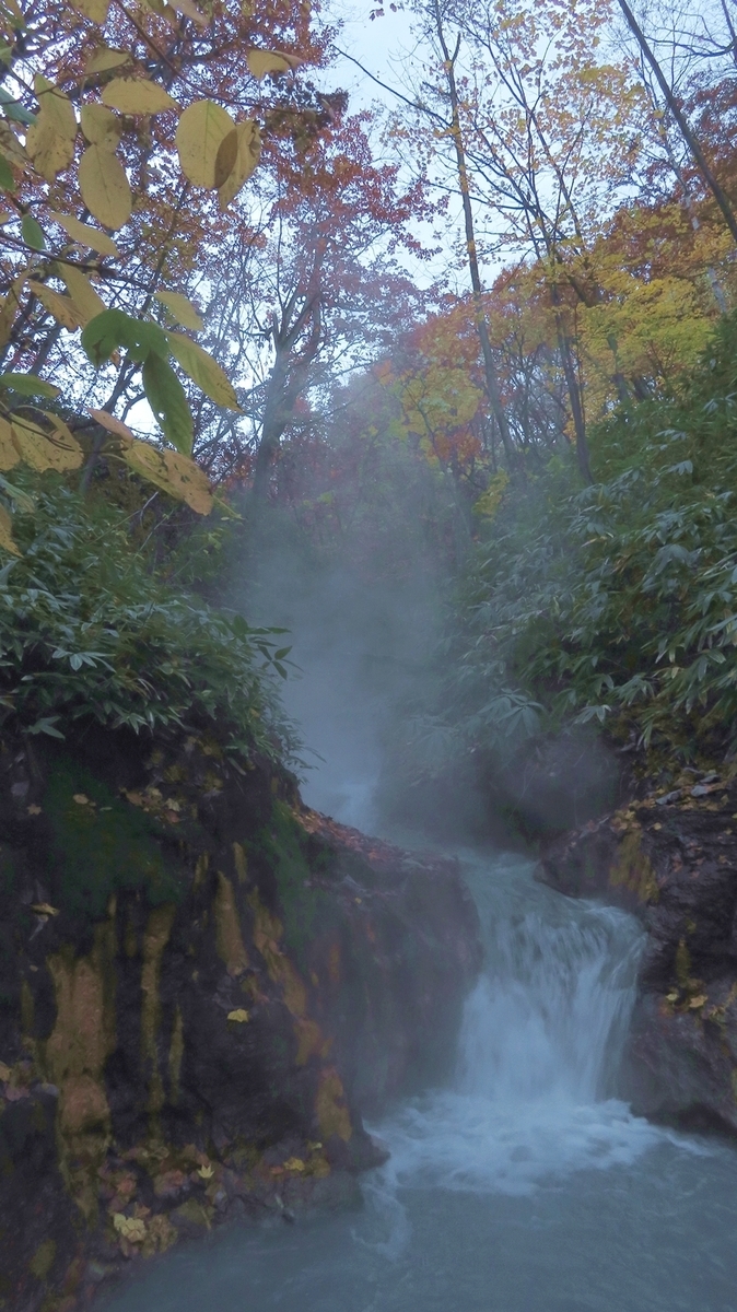 f:id:shirokumapanda:20181103003832j:plain