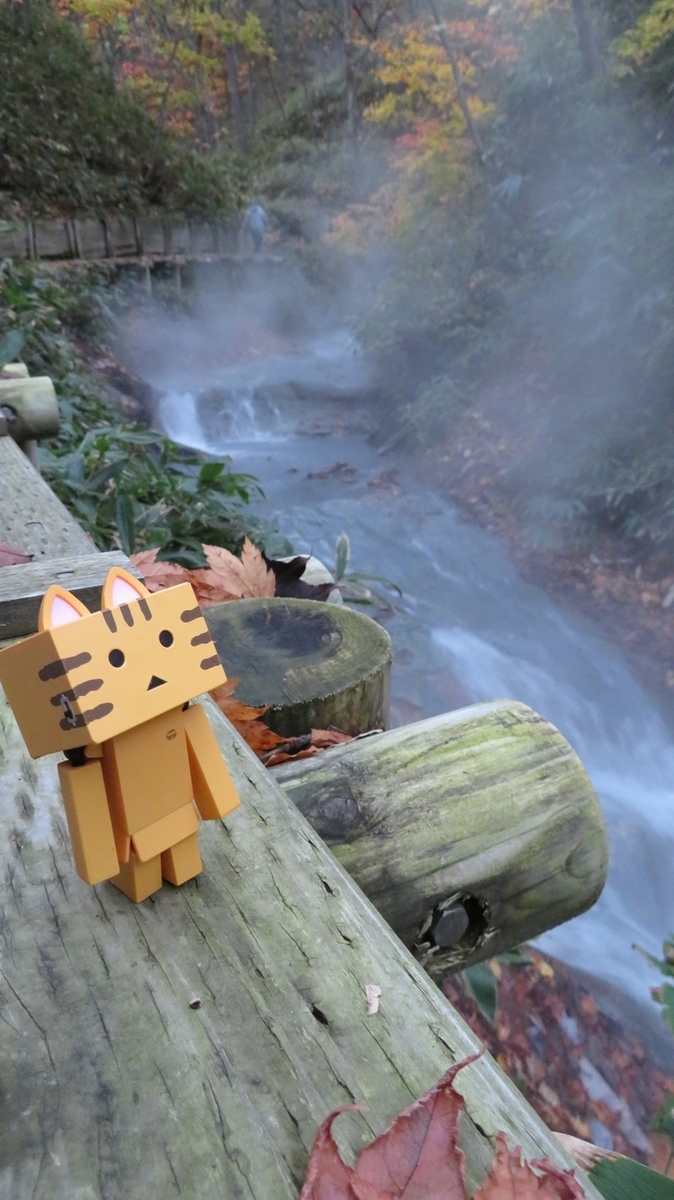 f:id:shirokumapanda:20181103003837j:plain