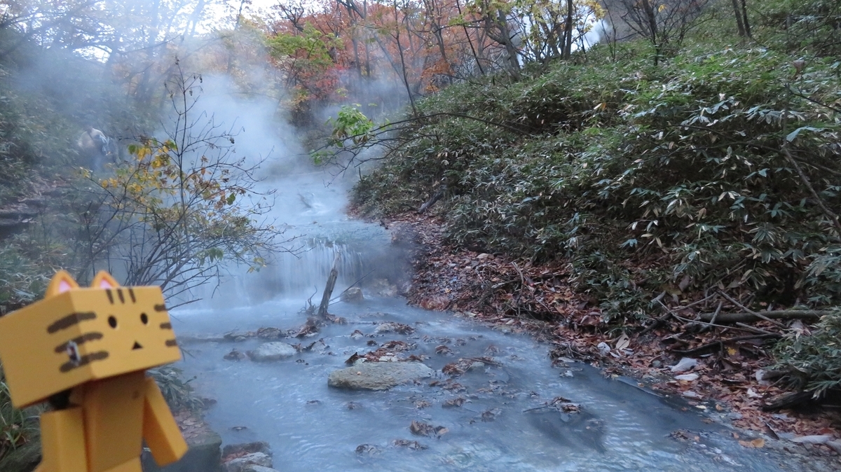 f:id:shirokumapanda:20181103003841j:plain