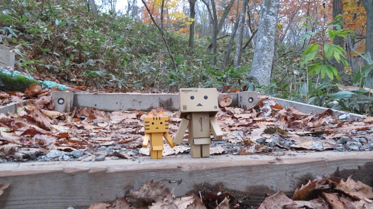 f:id:shirokumapanda:20181103003845j:plain